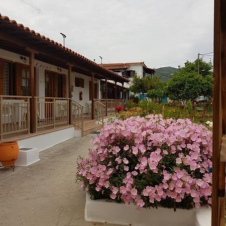 Asimina'S House Aparthotel สเกียธอสทาวน์ ภายนอก รูปภาพ